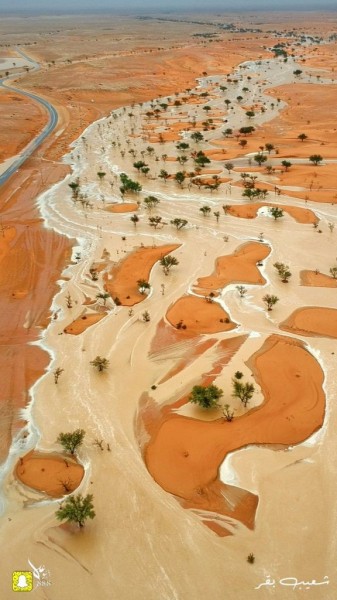 Um oásis em algum lugar na Arábia Saudita após enchentes extremas em dezembro de 2018. via Twitter
