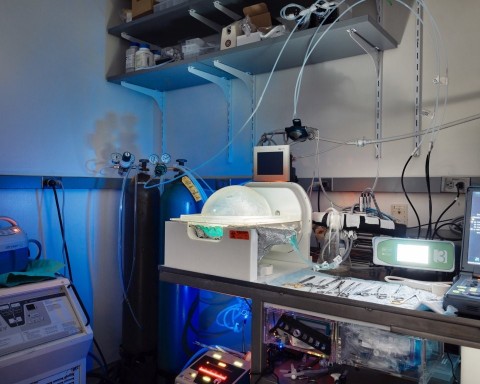 A parte do BrainEx onde o cérebro de suínos é colocado. Credito: Thomas Prior para o The New York Times.