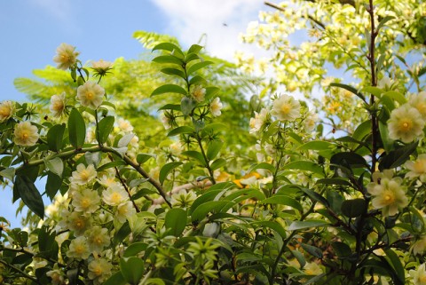 Foto Andréia Bohner